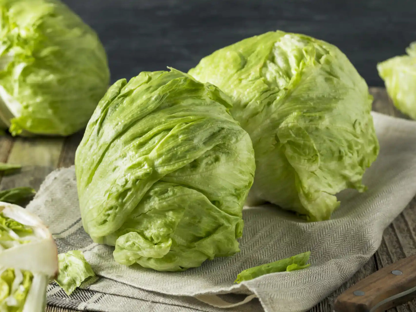 Lechuga Capuchina