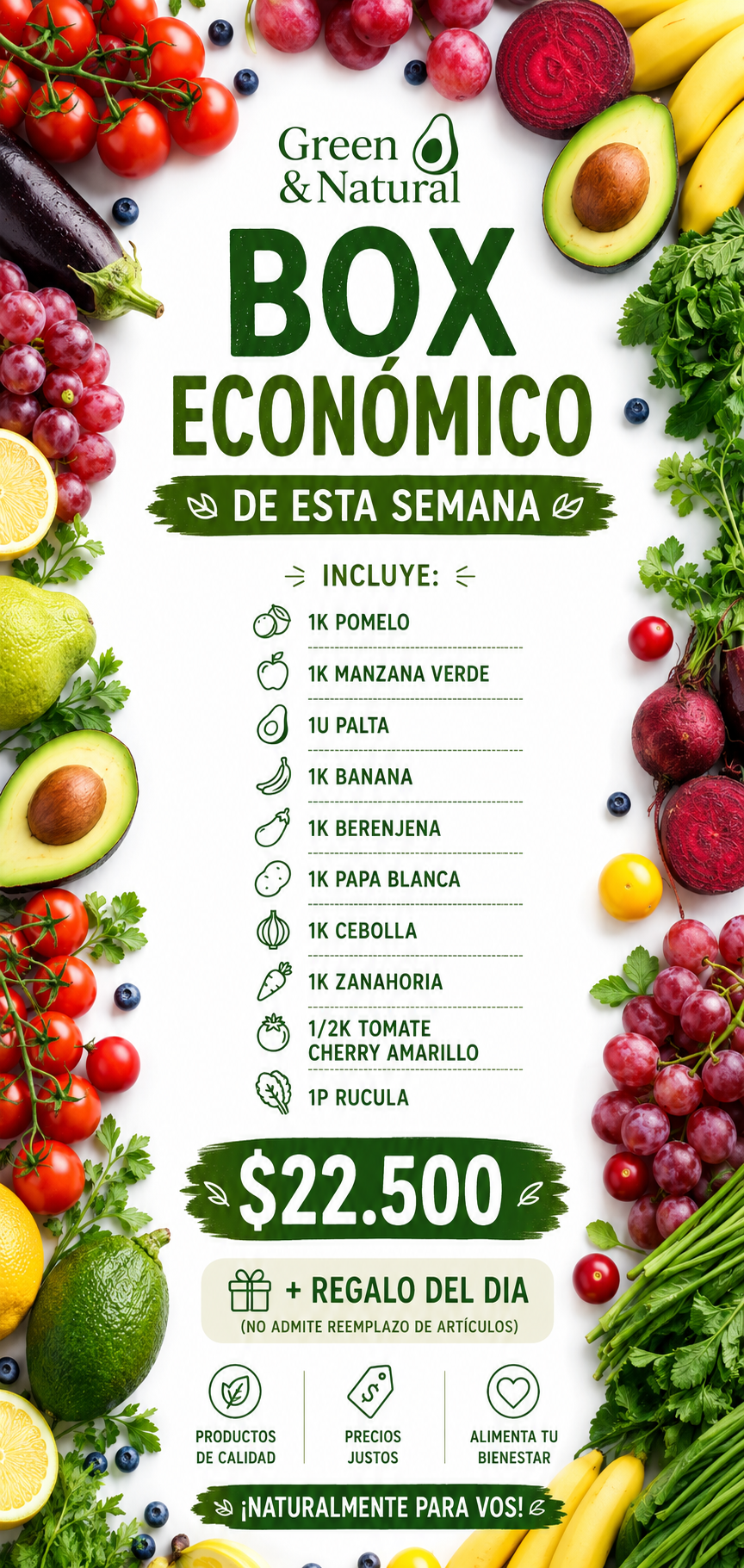 Box Economico