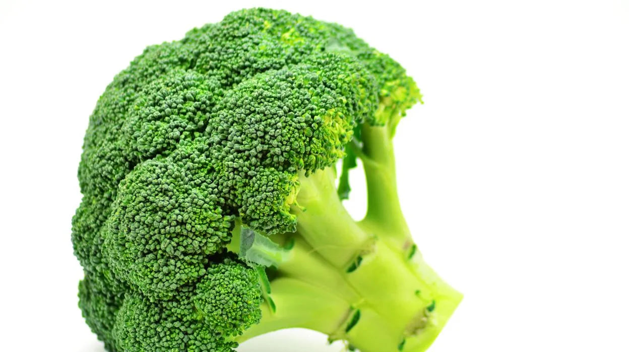 Brócoli