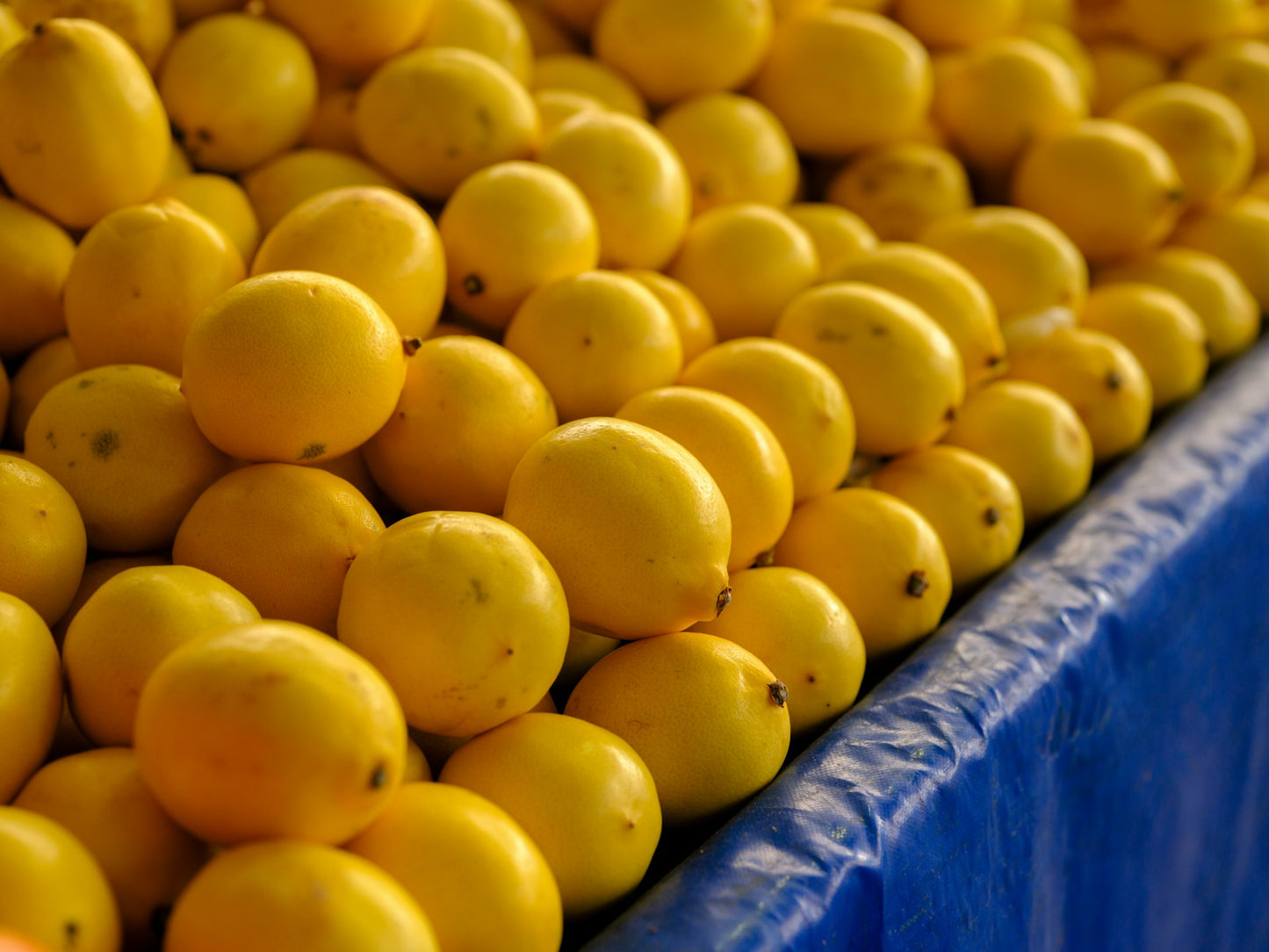Limón Cajón 17 kg