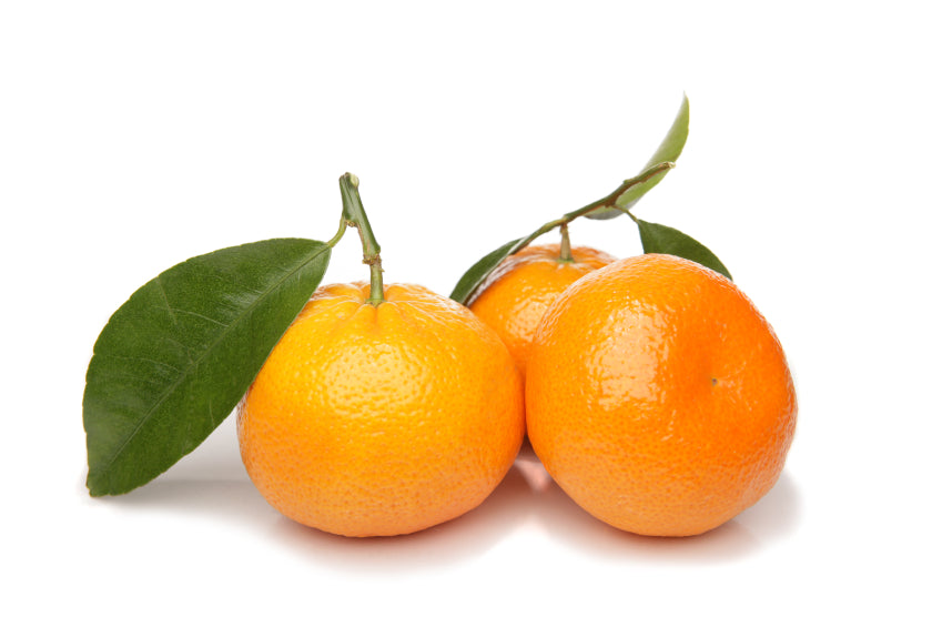 Mandarina 3k OFERTA