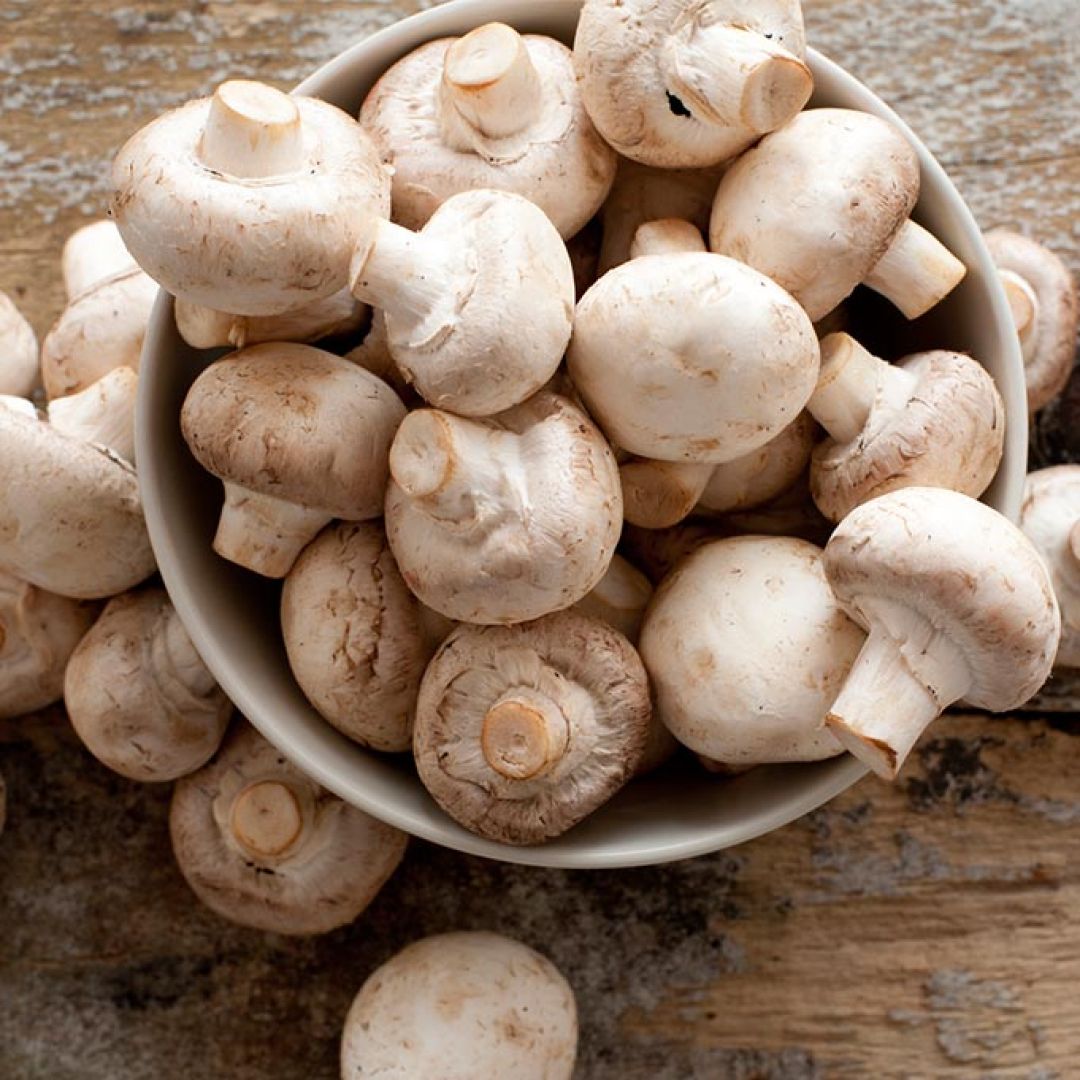 Hongos Champiñón