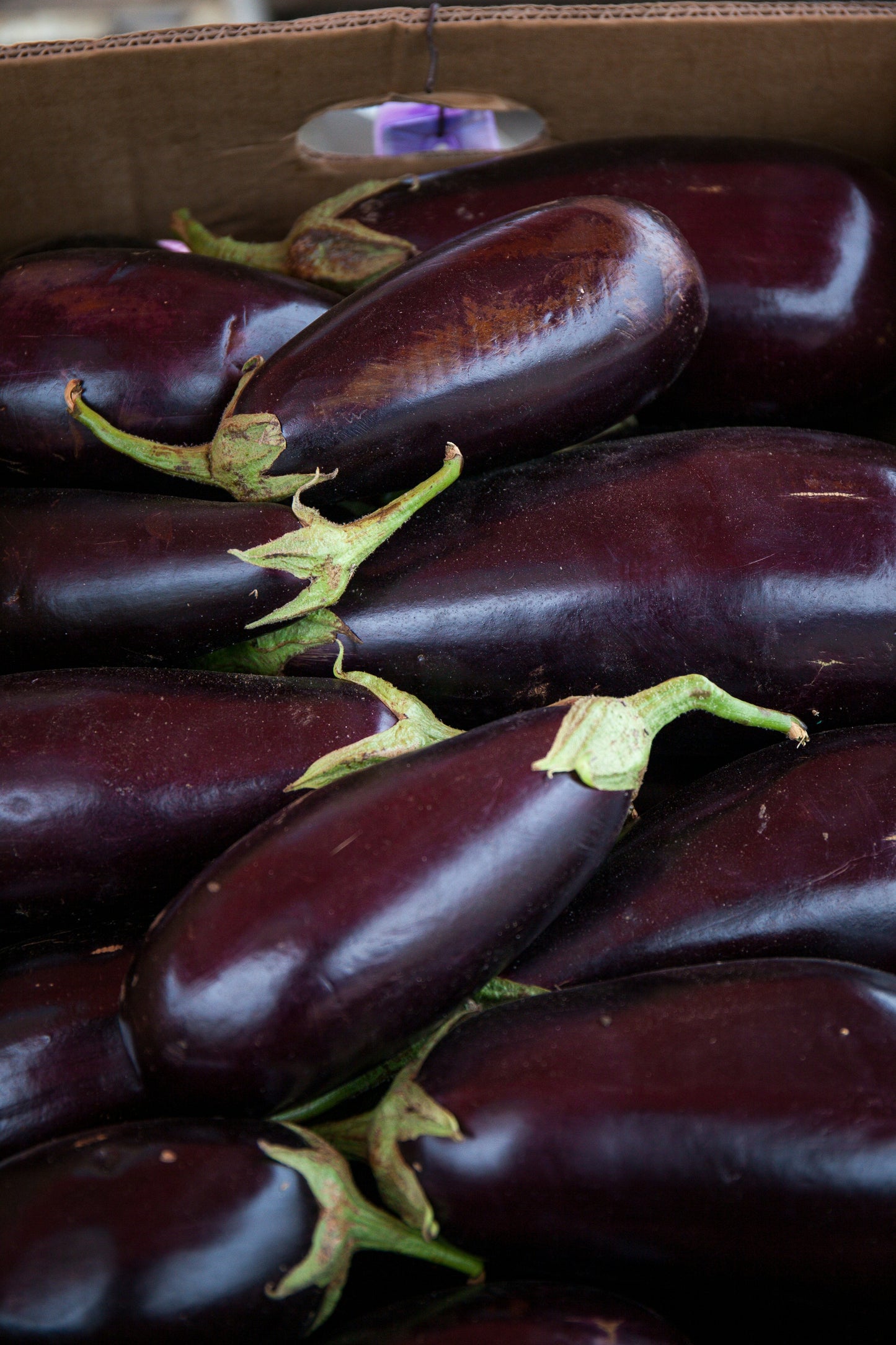 Berenjena