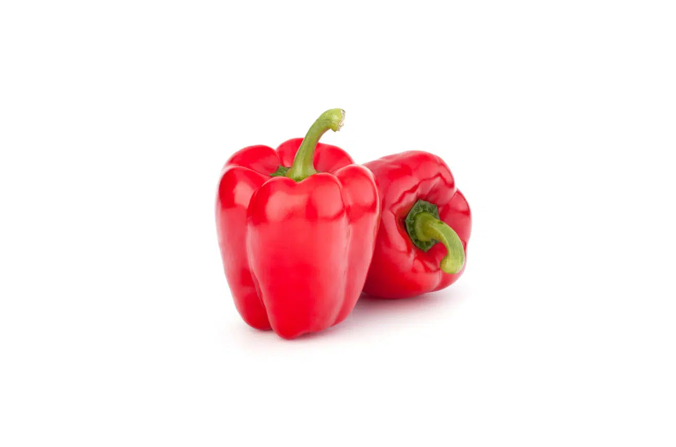 Morron Rojo