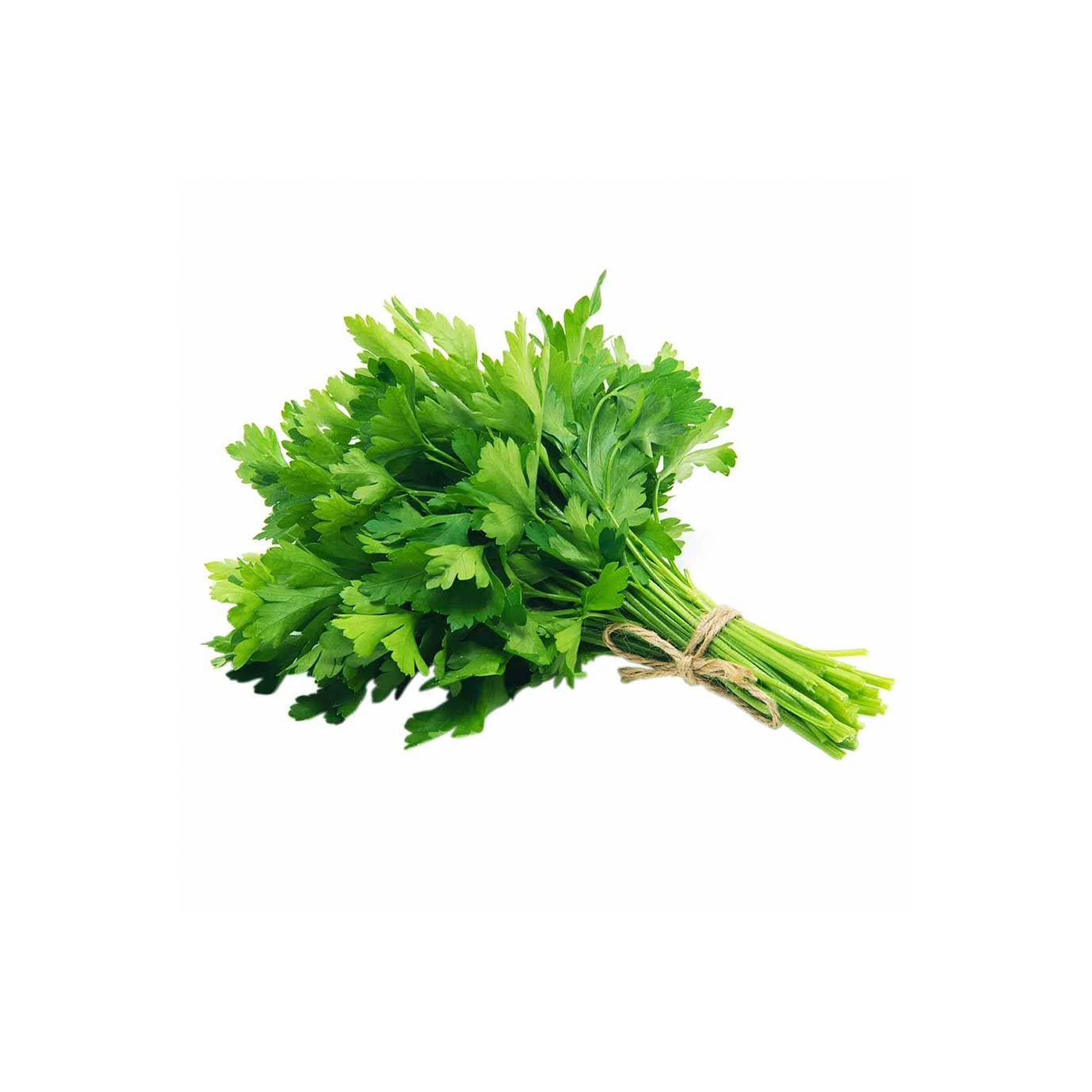 Perejil