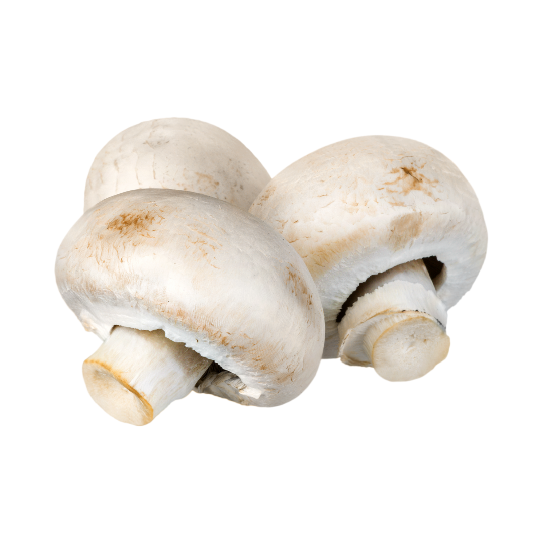 Hongos Champiñón
