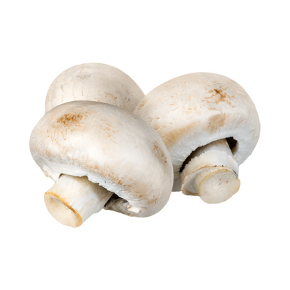 Hongos Champiñón