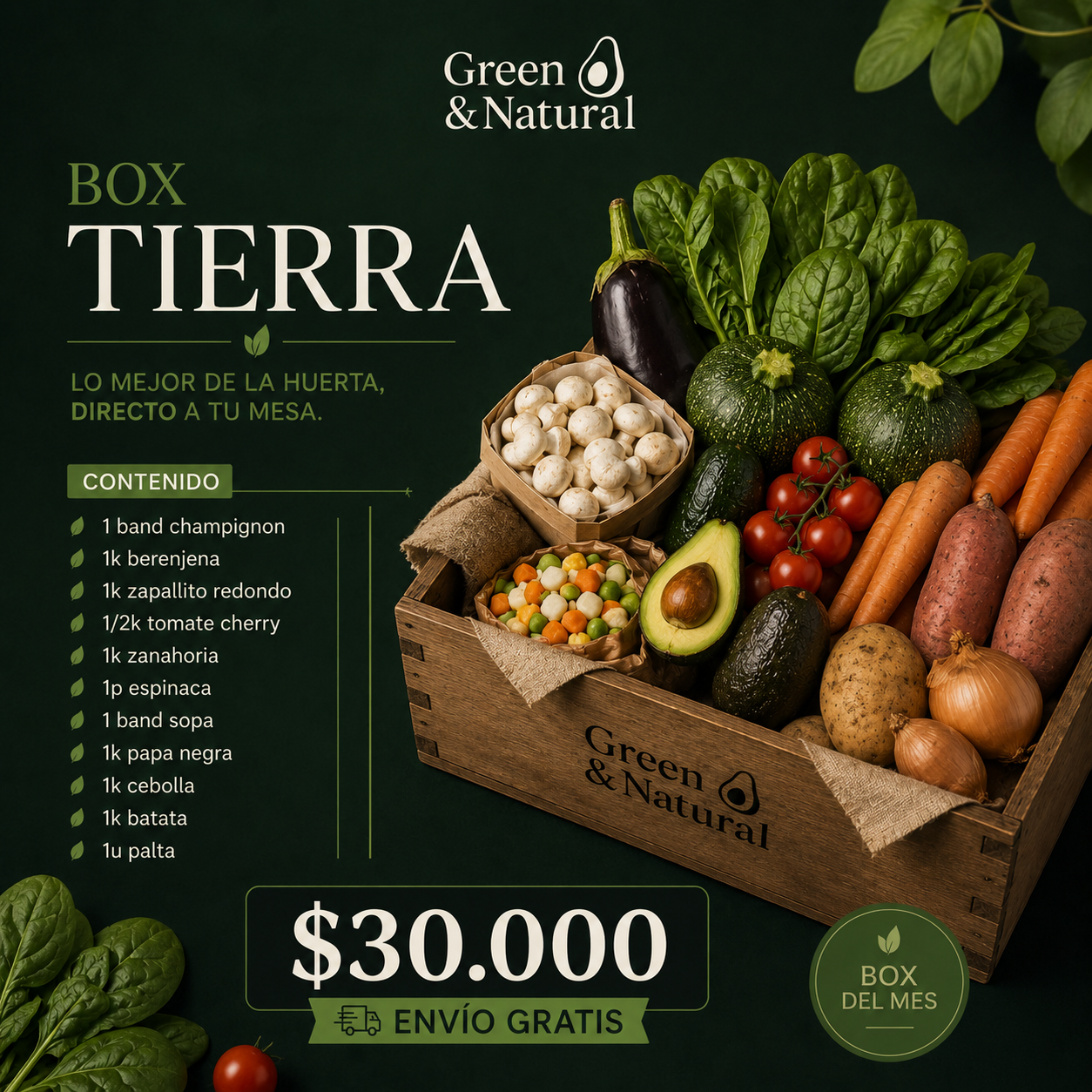 📦  Box Tierra