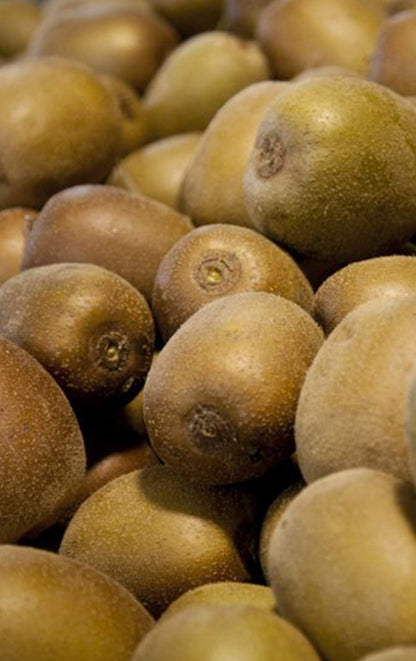 Kiwi