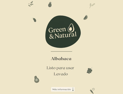 Albahaca lavada y lista para usar
