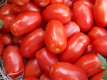 Tomate Perita