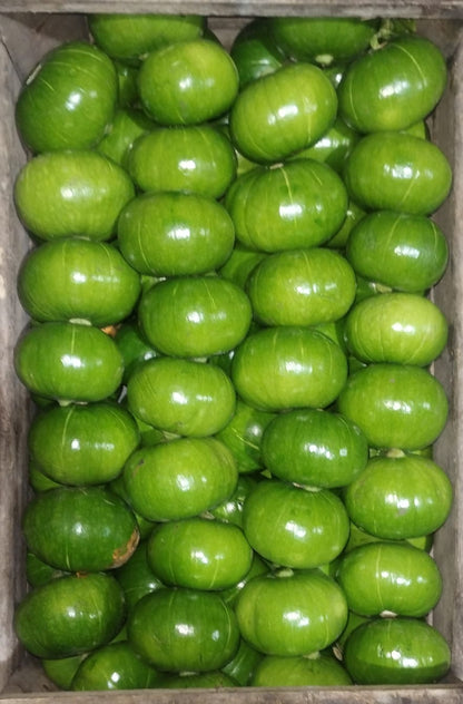 Zapallito Redondo Cajón ~ 14 kg