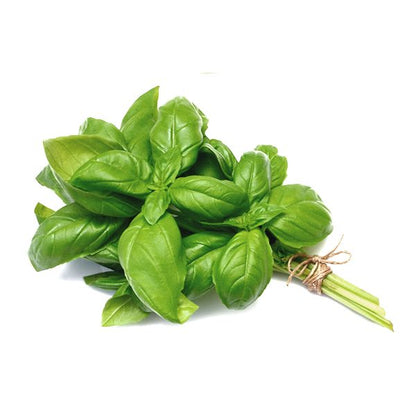 Albahaca