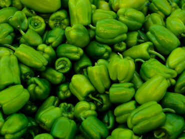 Morrón Verde