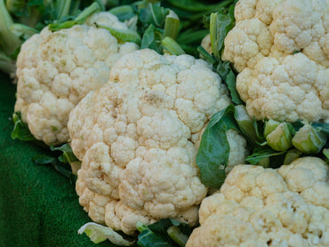 Coliflor