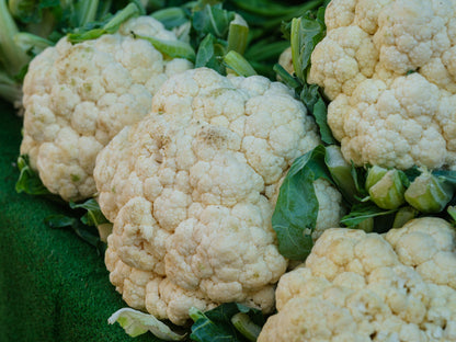 Coliflor