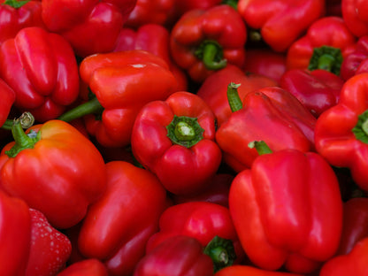 Morron Rojo