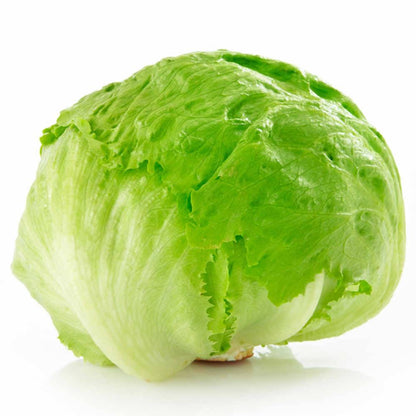 Lechuga Capuchina