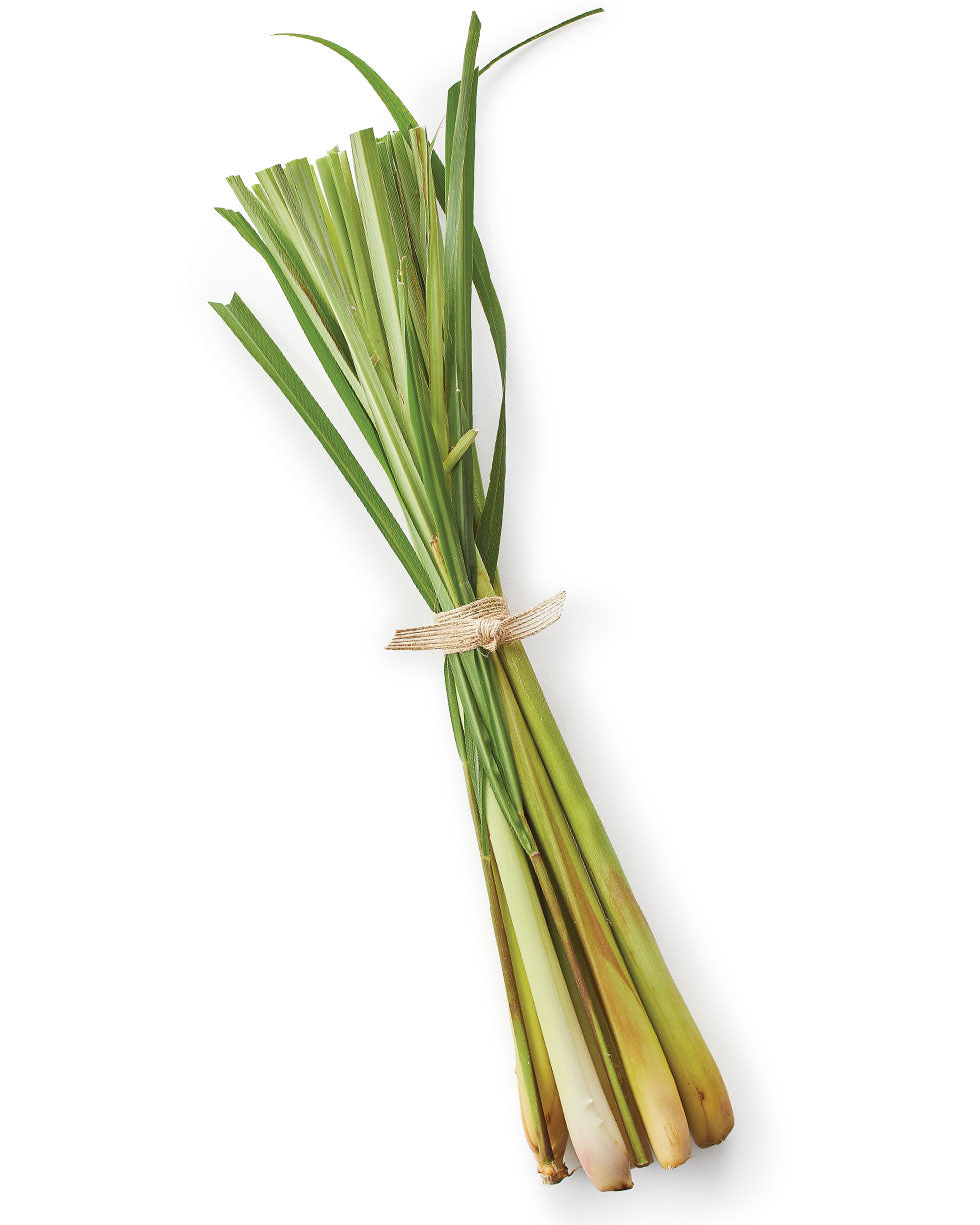 Lemon grass