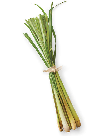 Lemon grass