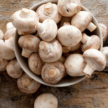 Hongos Champiñón