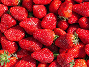 Frutilla