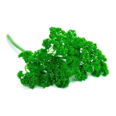 Perejil crespo