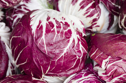 Radicchio