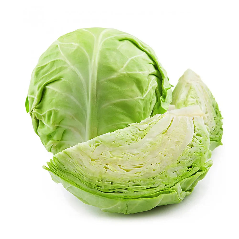 Repollo Blanco