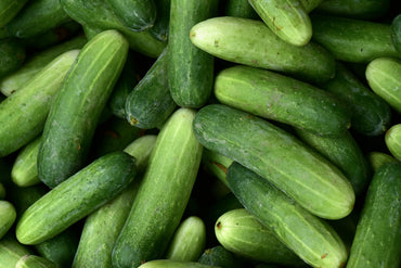 Pepino