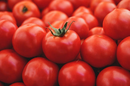 Tomate Redondo